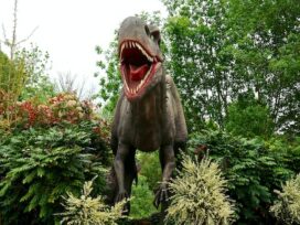 Maroc : deux fossiles de dinosaures découverts