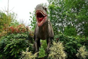 Maroc : deux fossiles de dinosaures découverts